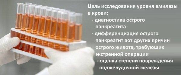Альфа амилаза повышена в крови. Причины, что это значит, лечение у взрослых, детей