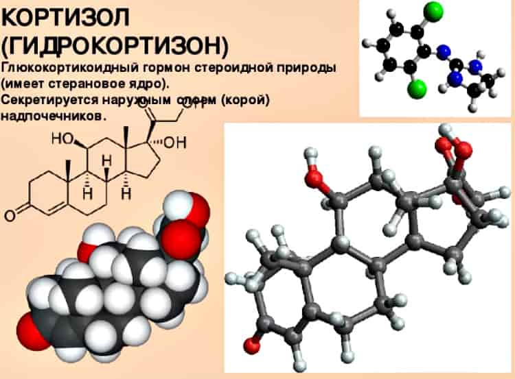 кортизол что это такое у женщин