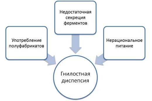 Причины гнилостной диспепсии
