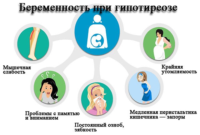щитовидная железа и беременность